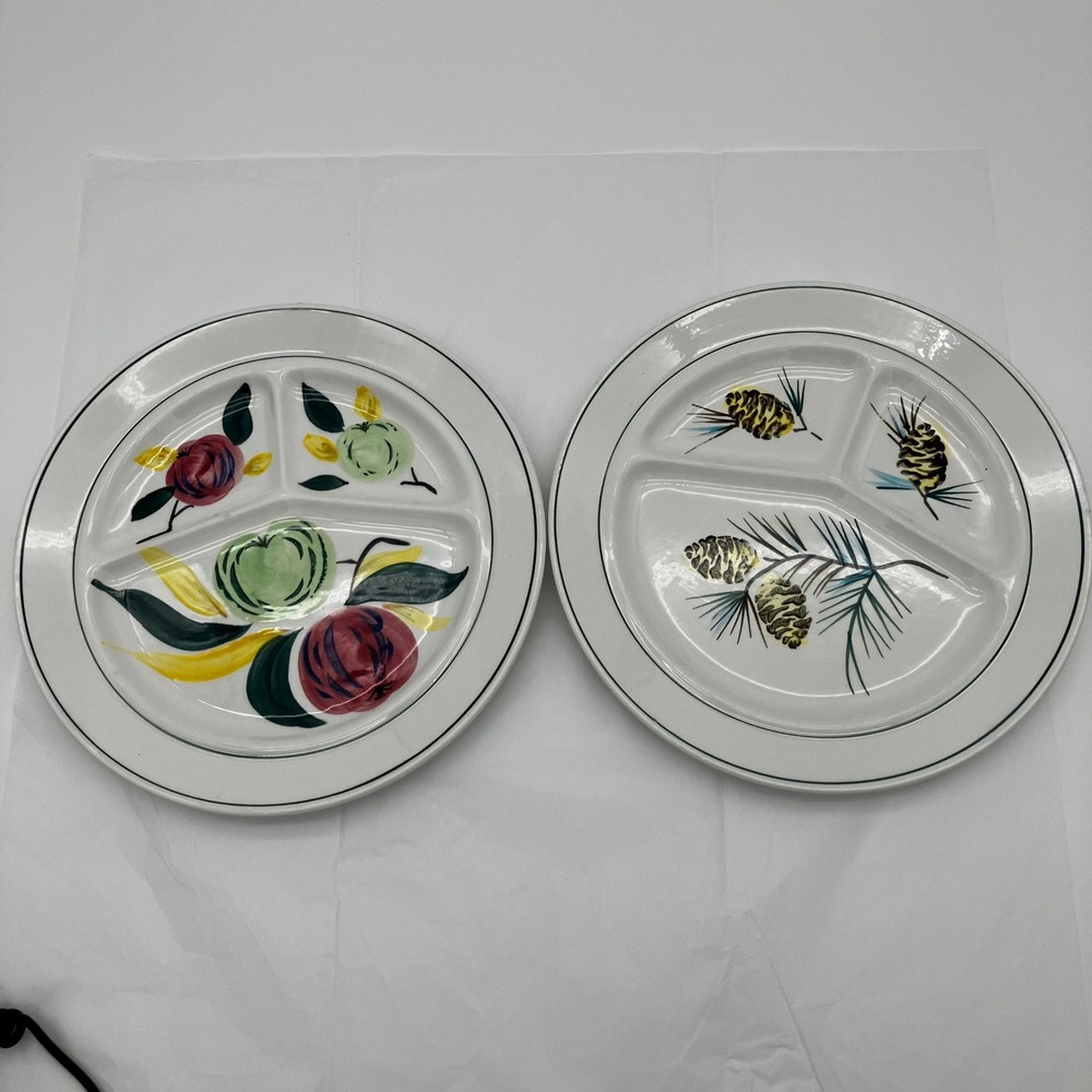 Vintage Japan Divided Grill Plates Set of 2 10.5in Fruit Pinecone Hand Painted
